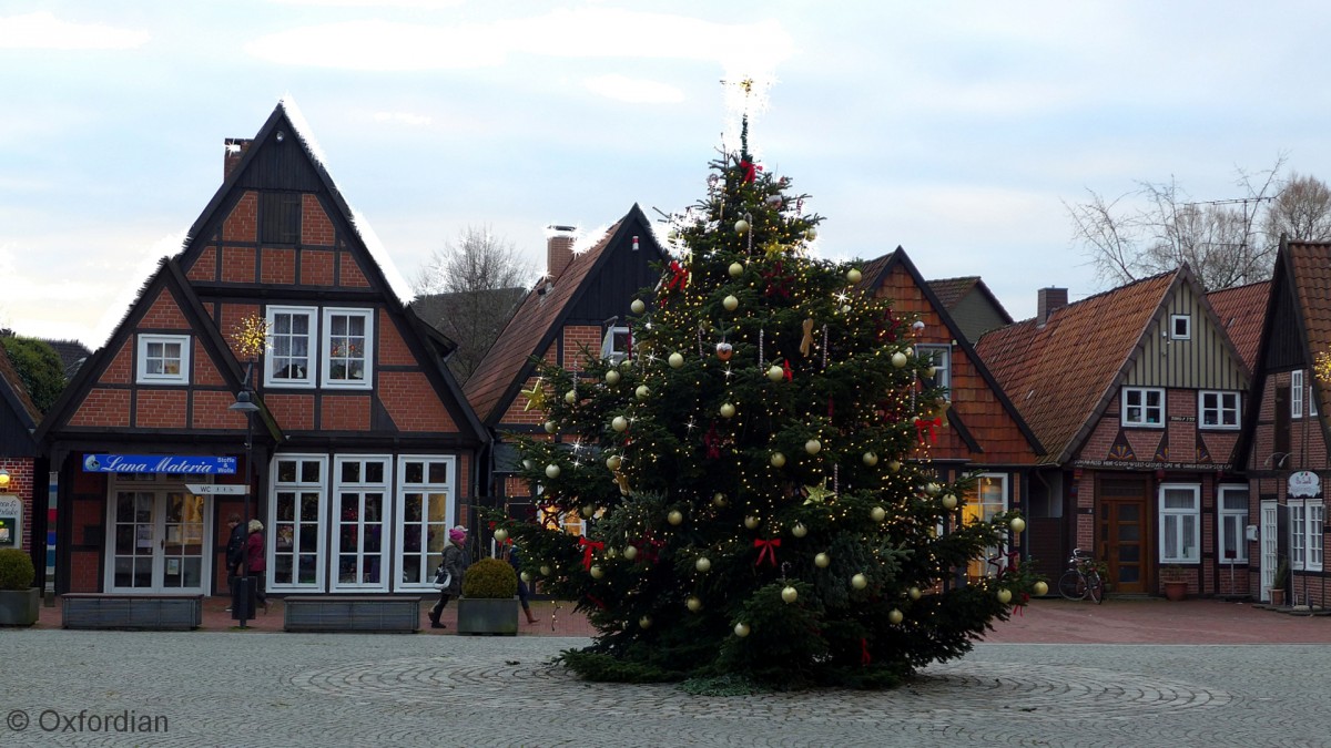 Weihnachtsbaum 2013 auf dem Hagen von Soltau in der Lüneburger Heide.