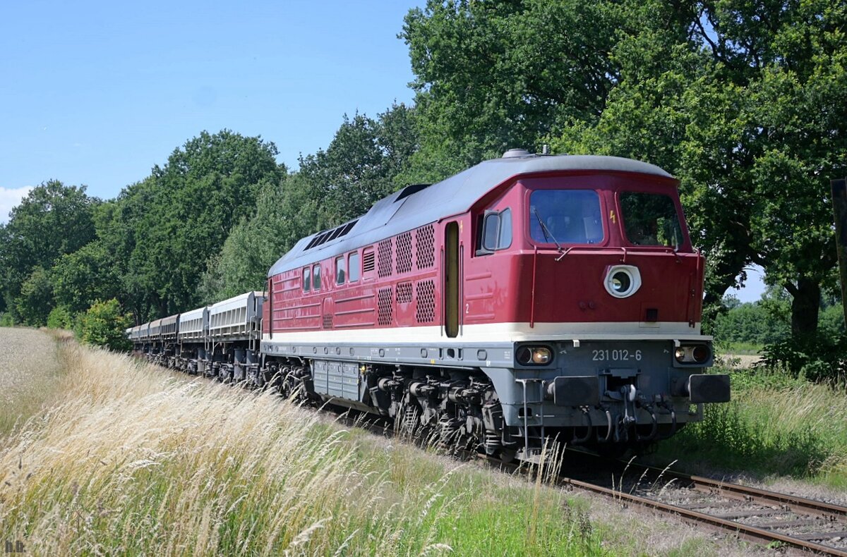 WFL 231 012-6 fuhr mit einen schotterzug nach glinde,aufgenommen beim bü havighorster weg,13.07.22