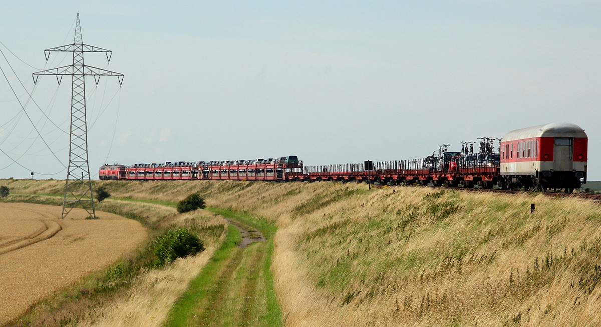 Wiedingharder Neuer Koog 04.08.2012