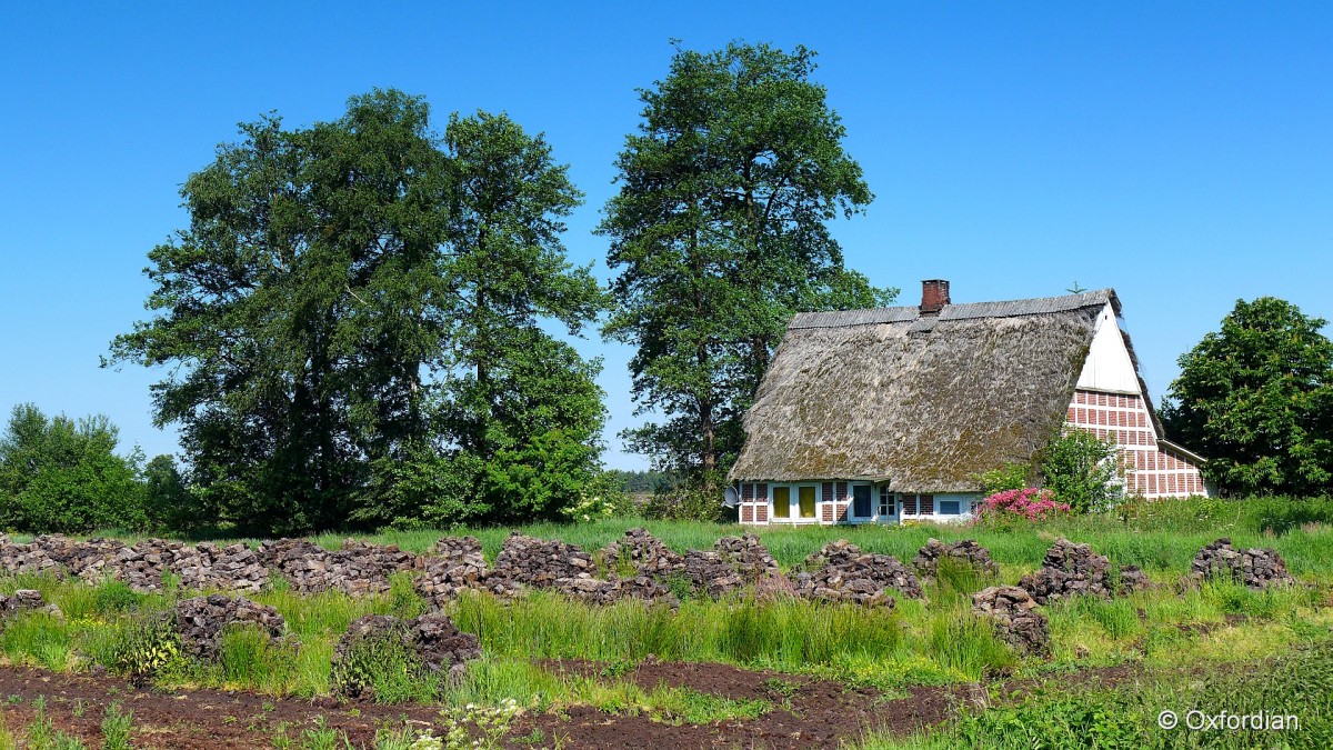 Wischhafen-Neuland, Bauernhaus im Torfmoor.