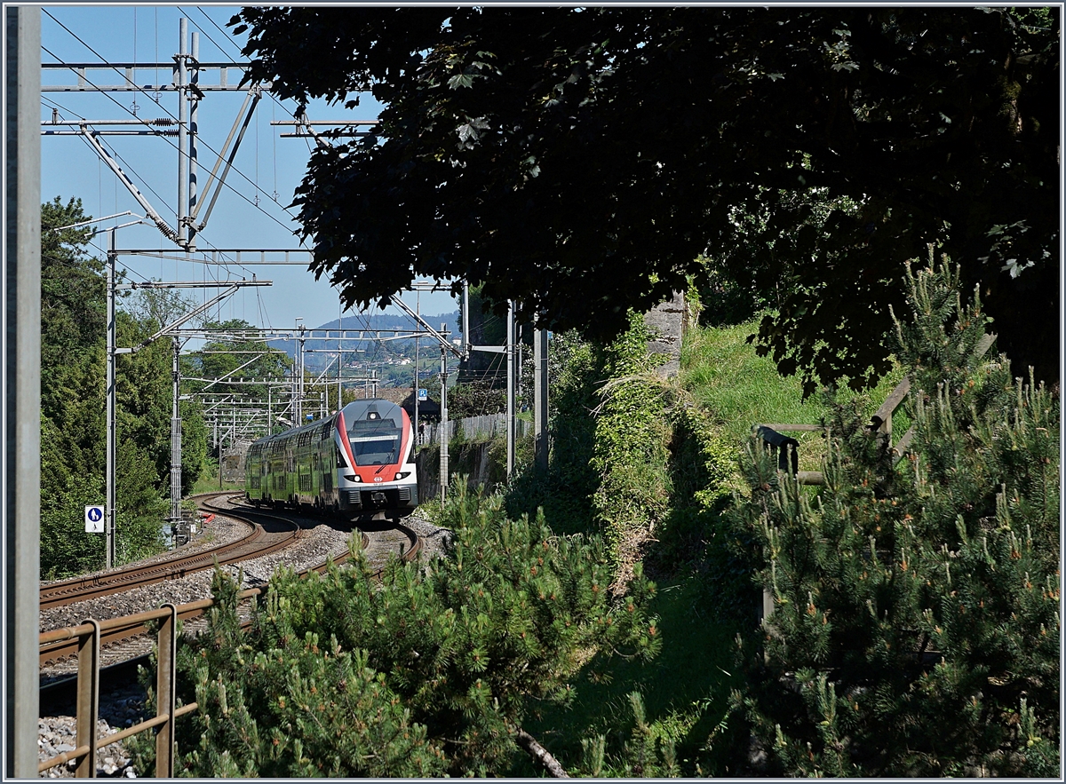 Ziemlich bekannt, was sich links dieses Bildes befindet: Das Schloss Chillon. Im Bild und mein Motiv: der SBB RABe 511 112 von Annemasse nach St-Maurice der sich auf der vegetationsreichen Rückseite des Château de Chillion in Richtung St-Maurice schlängelt.

21. Mai. 2020