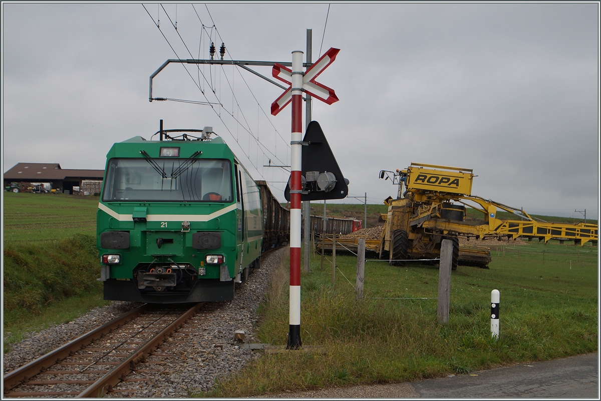 Zuckerrübenverlad auf freiem Feld bei der BAM. Der Reiseverkeh wird als SEV geführt. 
Bei Mauraz, den 15. Okt. 2014