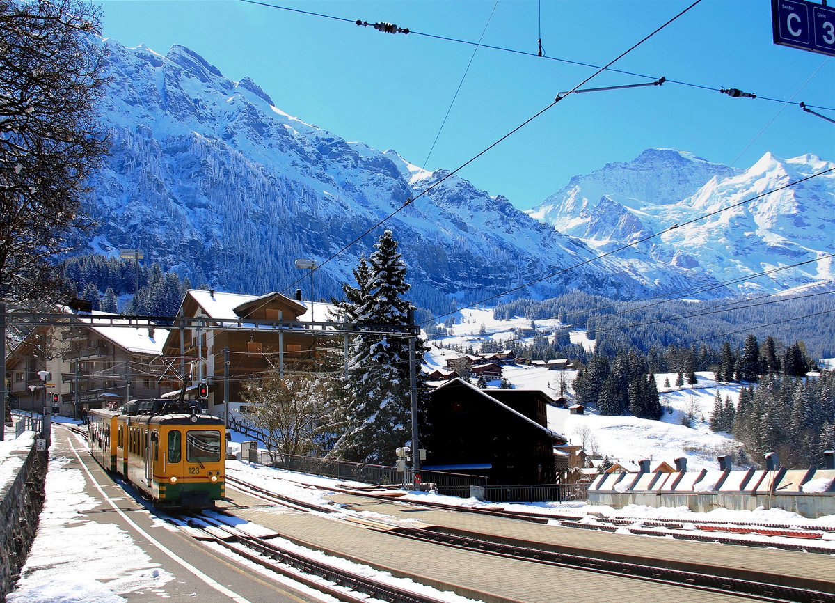 Zug 123 mit Gelenksteuerwagen 244 in Wengen am angeblichen Frühlingstag 29.April 2017. 