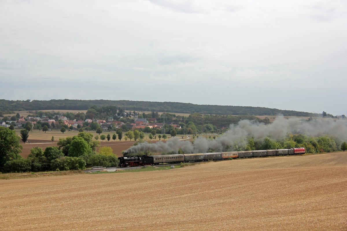 Zum Freyburger Winzerfest 2019 kamen am 07.09.2019 auch wieder die Eisenbahnfreunde aus Sta�furt mit der 44 1486-8 und der CLR 229 181-3 ins Unstruttal. Hier zu sehen mit dem DPE 80784 von Magdeburg Hbf nach Freyburg bei Ni�mitz. (Foto: Wolfgang Krolop)