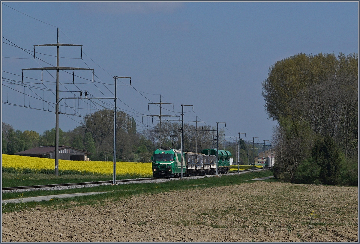 Zwei BAM Ge 4/4 mit ihre Kieszug von Apples nach Gland (mit Spurwechsel in Morges) bei Chigny.
10. April 2017