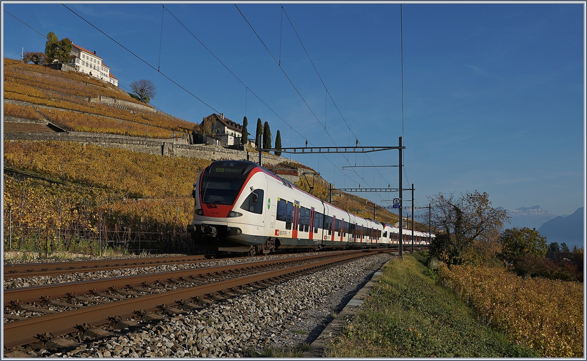 Zwei SBB Flirts RABe 523 als S 3 auf dem Weg nach Villeneuve im herbstliche Lavaux bei Lutry.
3. Nov. 2017