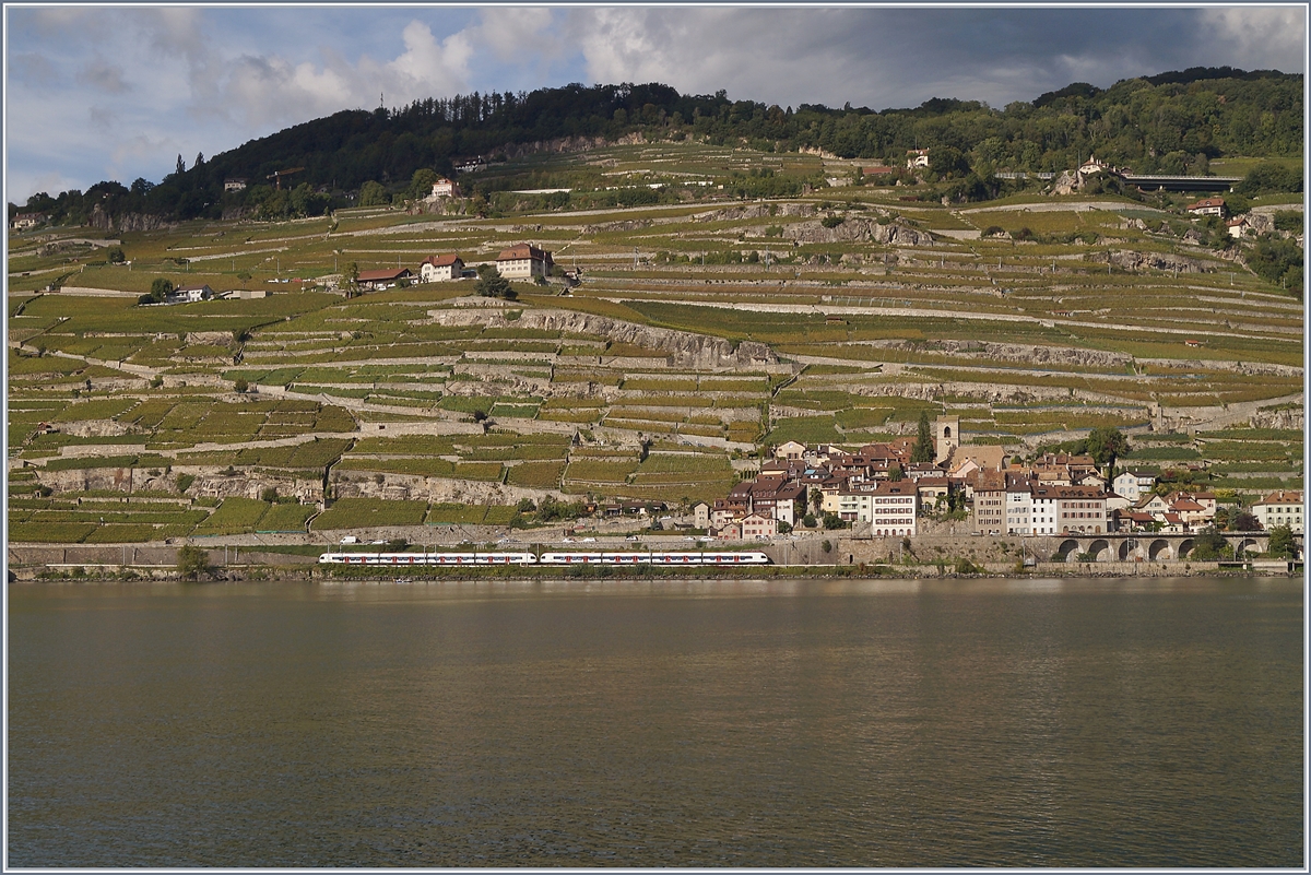 Zwei SBB Flirts (RABe 523) bei St-Saphorin auf dem Weg Richtung Vevey.-

1. Okt. 2019