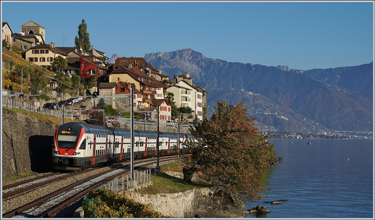 Zwei SBB KISS RABe 511 nach Vevey bei St-Saphorin. 

25. Jan. 2019