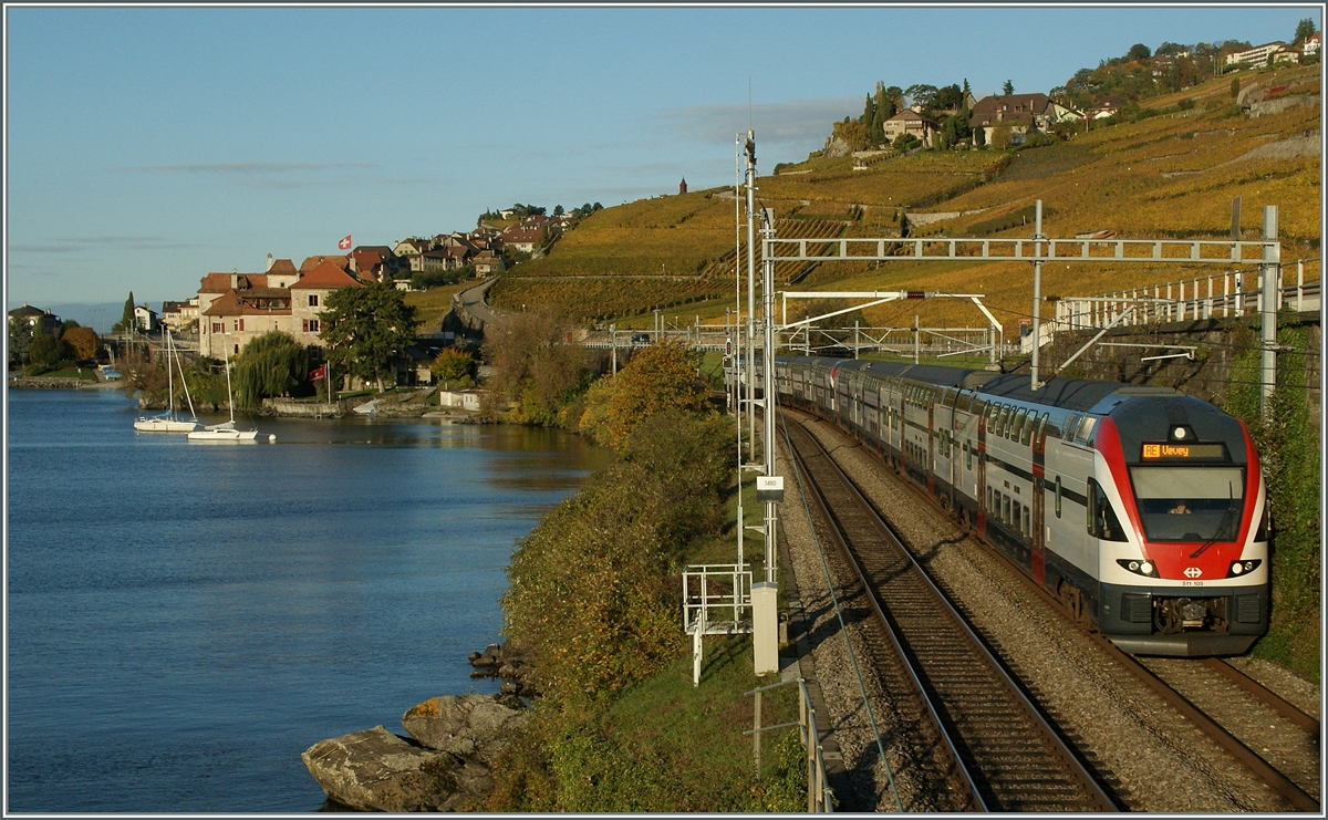 Zwei SBB RABe 511 erreichen in Krze ihr Ziele Vevey.
Zwischen Rivaz und St-Saphorin den 30. Okt. 2013