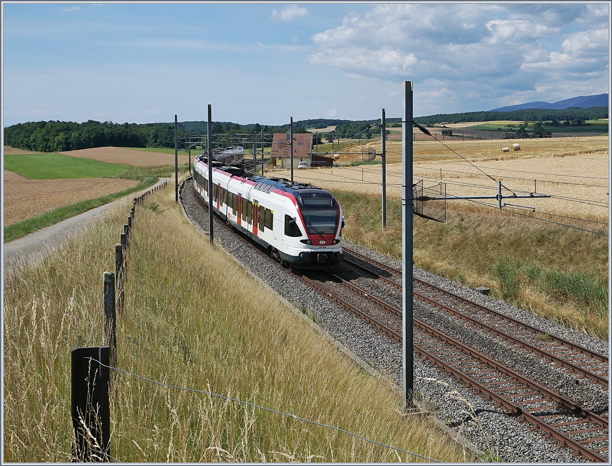 Zwei SBB RABe 523 (Flirt) oberhalb von Arnex auf dem Weg nach Vallobe. 

14. Juli 2020