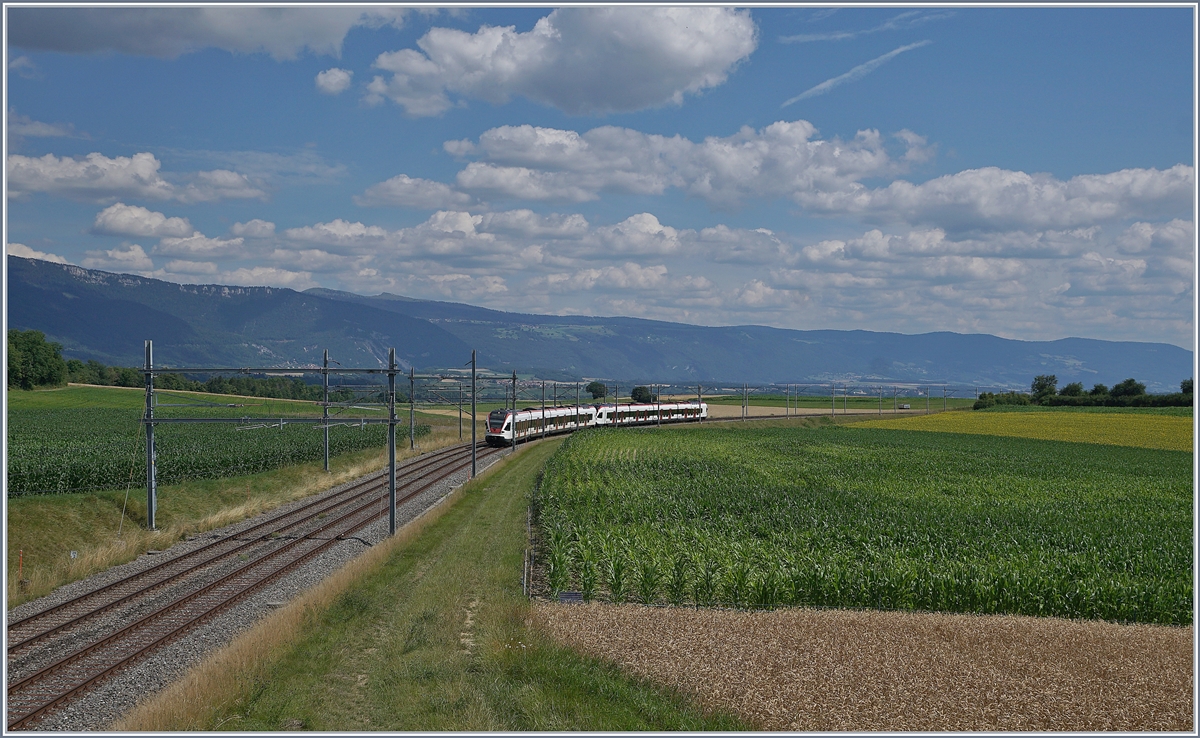 Zwei SBB RABe 523 Flirt Triebzüge verlassen die 180 Grad Kurve und nehmen den Anstieg nach Vallorbe in Angriff.

14. Juli 2020