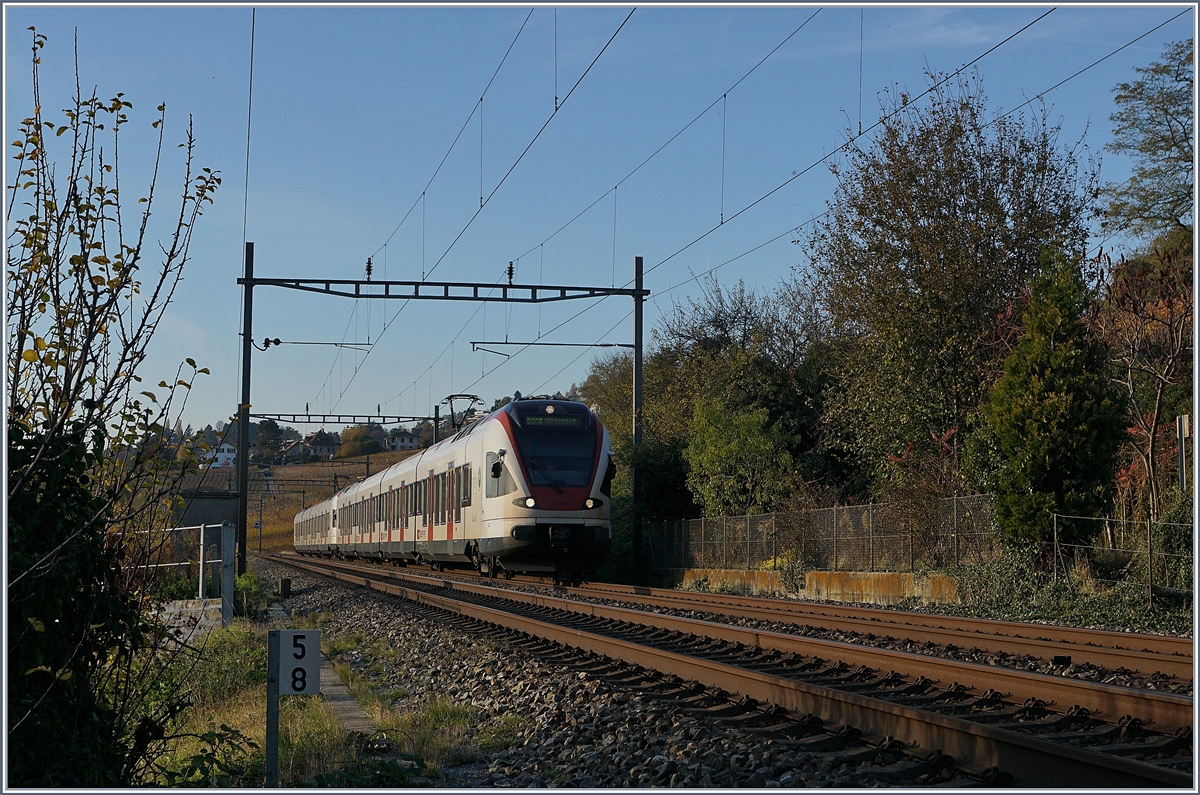 Zwei SBB RABe 523 sind bei Lutry auf dem Weg nach Aigle. 

3. Nov. 2017 