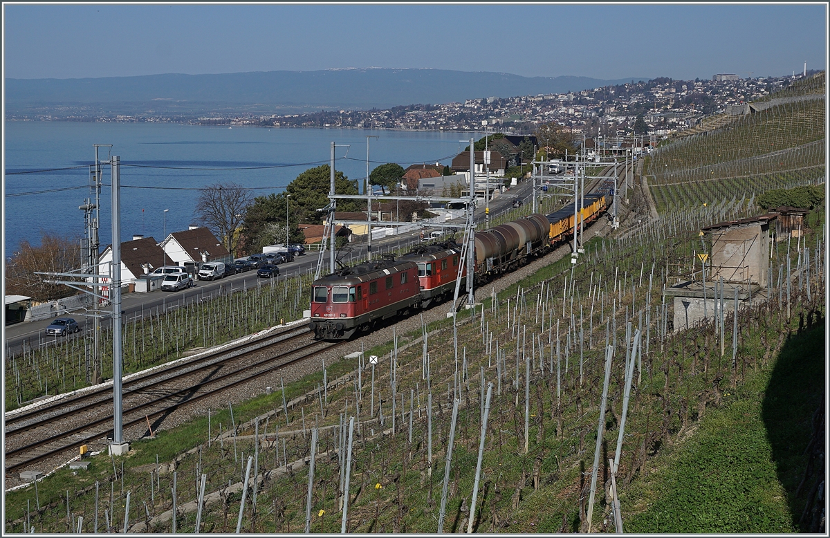 Zwei SBB Re 4/4 II erreichen mit einem Güterzug Cully. 

1. April 2021