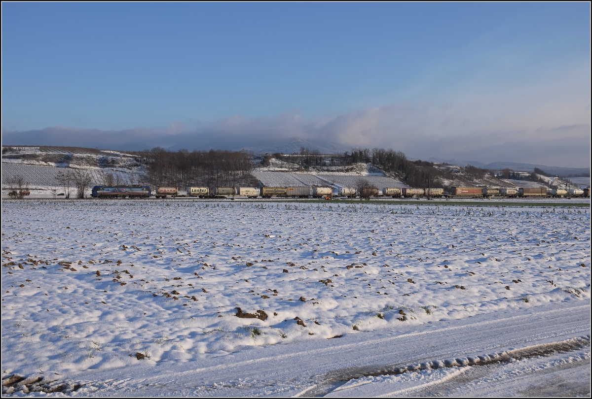 Zwischen Belchensystem und Blauendreieck. 

Die geleaste SBB 193 516 nordwärts bei Buggingen. Februar 2021.