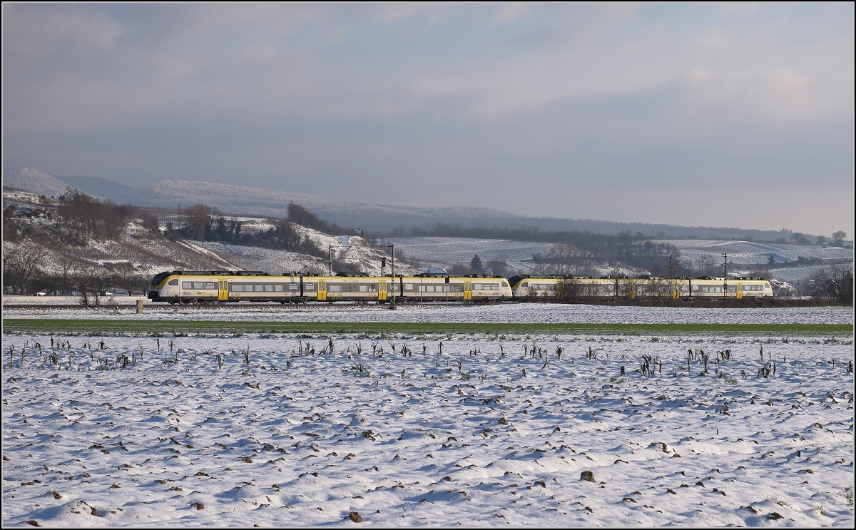 Zwischen Belchensystem und Blauendreieck. 

Eine Doppeltraktion 463 auf dem Weg nach Basel. Buggingen, Februar 2021.
