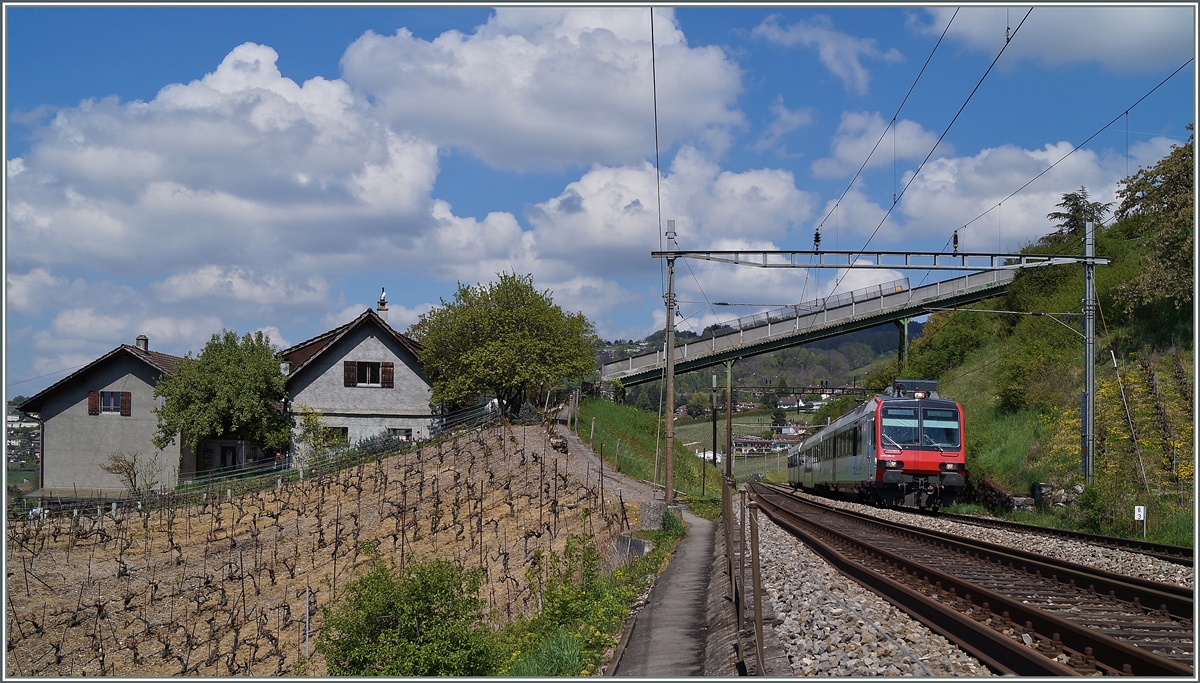 Zwischen Bossière und Grandvaux konnte ich diesen Domin auf der Fahrt nach Payerne fotografieren.
23. April 2014