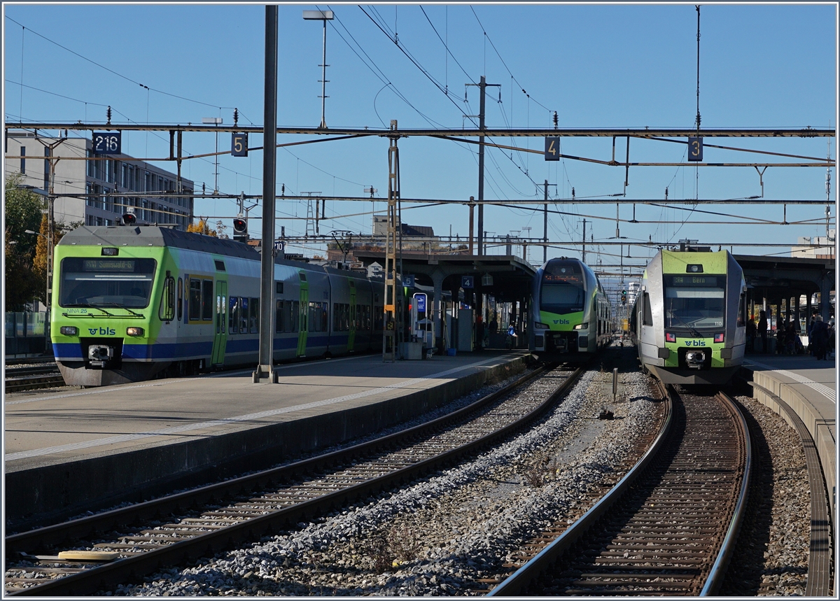 Zwischen  Ninas  und  Lötschberger  findet sich etwas zurückversetzt noch ein  Mutz ; BLS Triebzüge RABe 527, RABe 515 und RABe 535 in Thun.
29. Okt. 2016