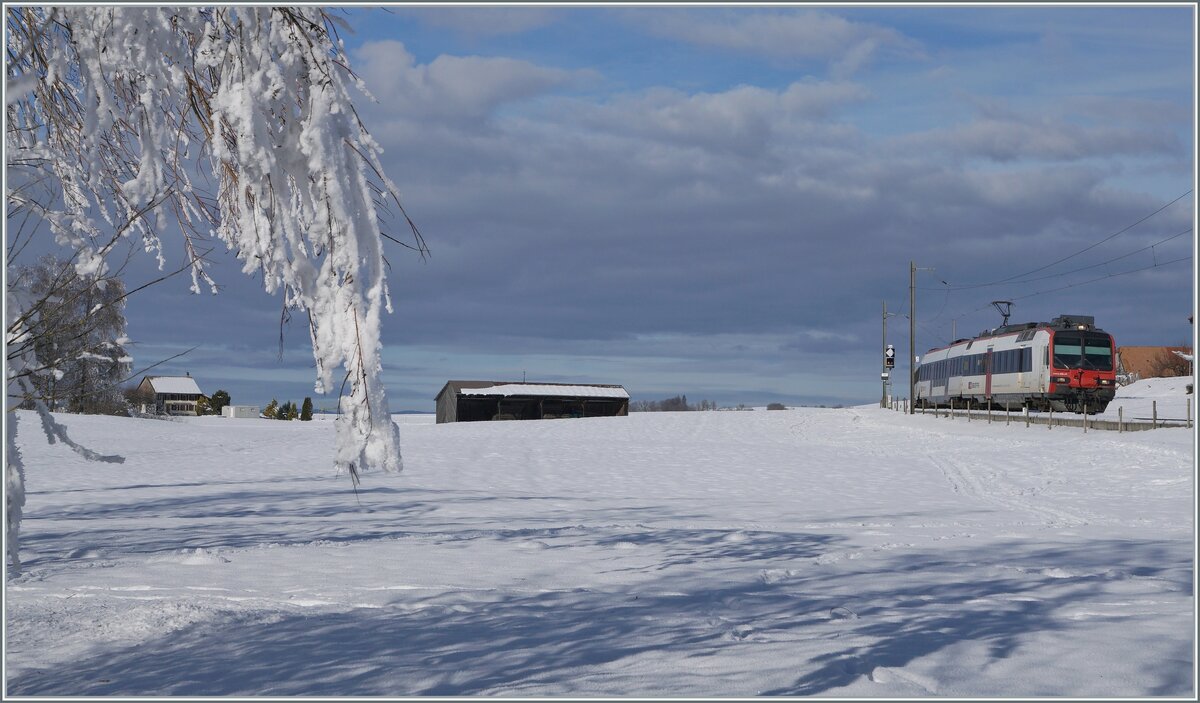 Zwischen Sales und Vaulruz konnte in einer herrlichen Winterlandschaft dieser SBB RBDe 560 Domino fotografiert werden. Der für die tpf fahrende Zug ist als RE 3818 von Bern nach Bulle unterwegs. 

23. Dezember 2021