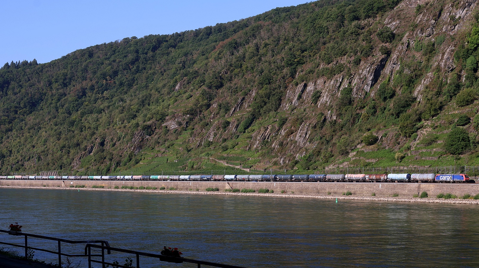 Alle Bilder vom 11.08.2025 sind wegen der enormen Hitze aus unserer Ferienwohnung in Kestert aufgenommen worden. Der Blick ber den Rhein zeigt einen Streckenabschnitt zwischen Boppard-Bad Salzig und Boppard-Hirzenach. 
SBB 482 006-4 rumpelt hier mit einem Kesselzug gen Koblenz. Kestert 11.08.2025