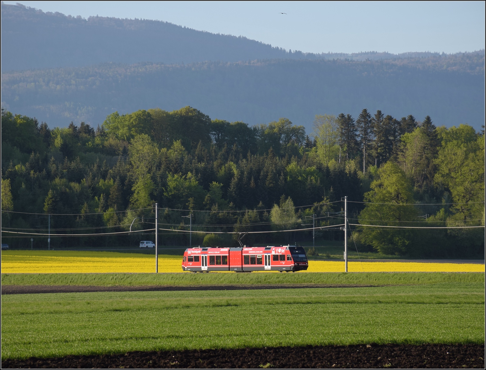 Auf der Biel-Täuffelen-Ins Bahn.

GTW Be 2/6 501 der ASm im Lüscherzer Moos. April 2022. Das dürfte in etwa an der  Umfallstelle  beim Sturm im März 2022 sein.