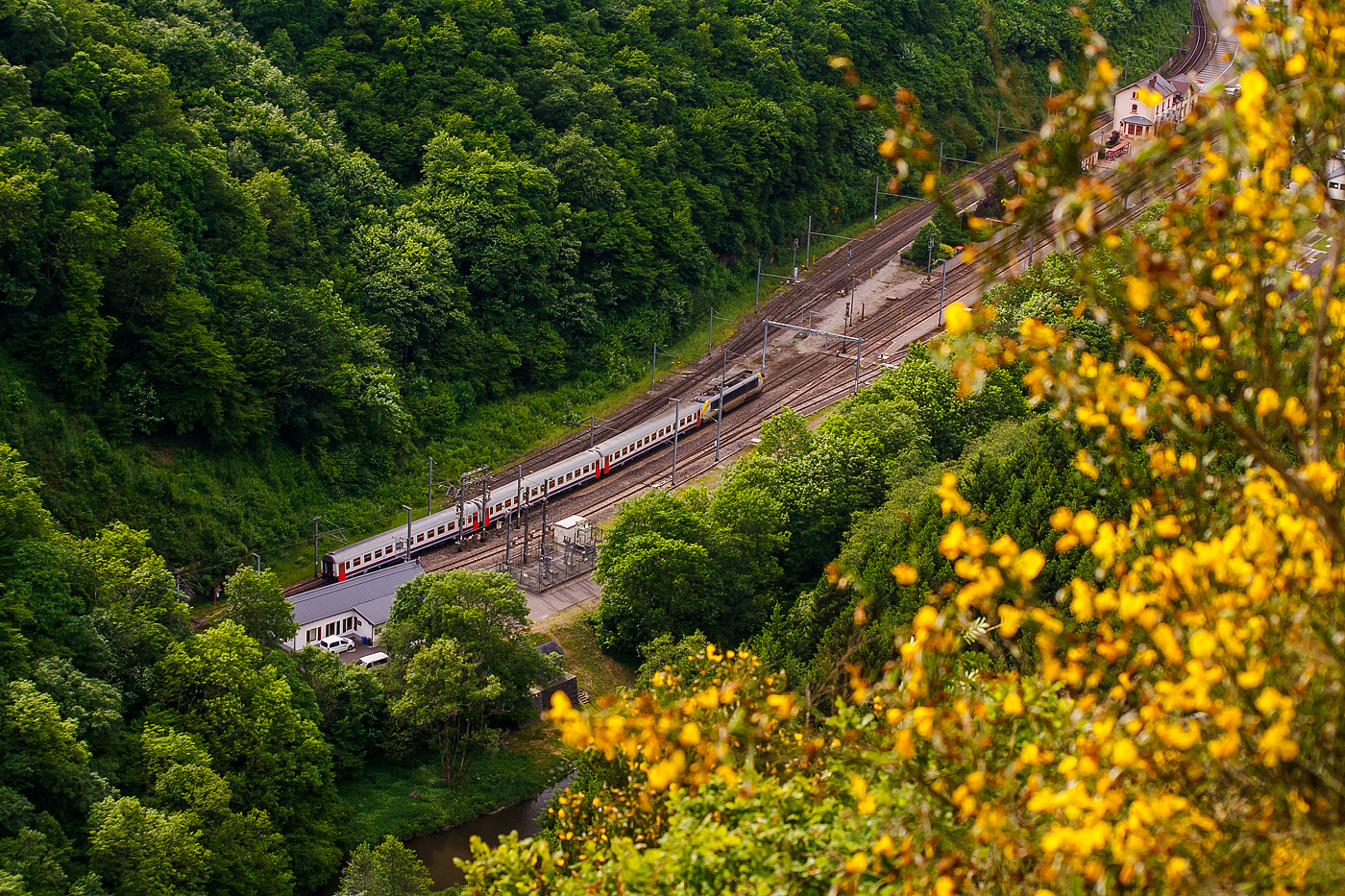 Blick von der Hockslay, die CFL 3006 erreicht am 15 Juni 2013 mit belgischen I11 Reisezugwagen als IR von Luxembourg über Troisvierges und Liège (Lüttich) nach Liers(B) den Bahnhof Kautenbach (Kautebaach) an der Nordstrecke (Linie 10).

Der Bahnhof Kautenbach (in der Gemeinde Kiischpelt) ist ein Keilbahnhof. Vorne die Hauptstrecke der Nordstrecke (Linie 10), der Bahnstrecke von Luxemburg über Ettelbrück und Troisvierges (Ulflingen) nach dem belgischen Trois-Ponts (früher weiter bis Spa). Dahinter die 9,4 km lange Stichbahn der Nordstrecke (Linie 10), der Bahnstrecke von Kautenbach nach Wiltz (Wolz), die früher bis belgische Bastogne ging.