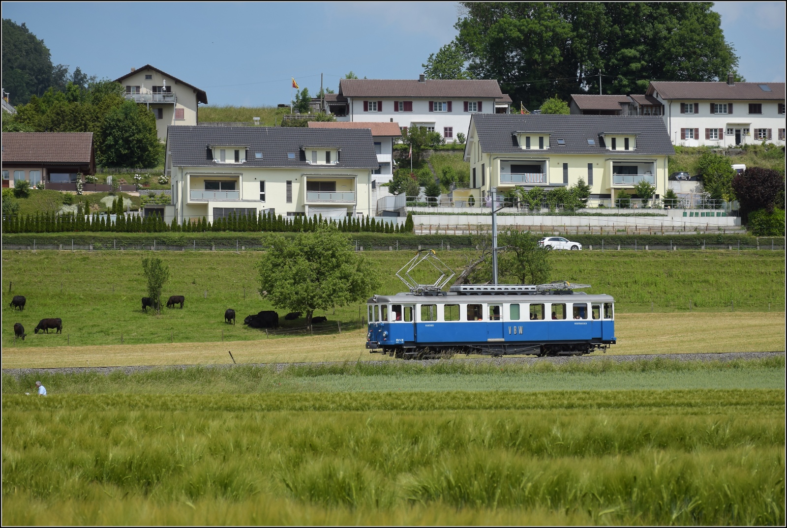 Das Blaue Bähnli VBW BDe 4/4 36 auf der falschen Strecke nach Worb. Stettlen, Juni 2023.