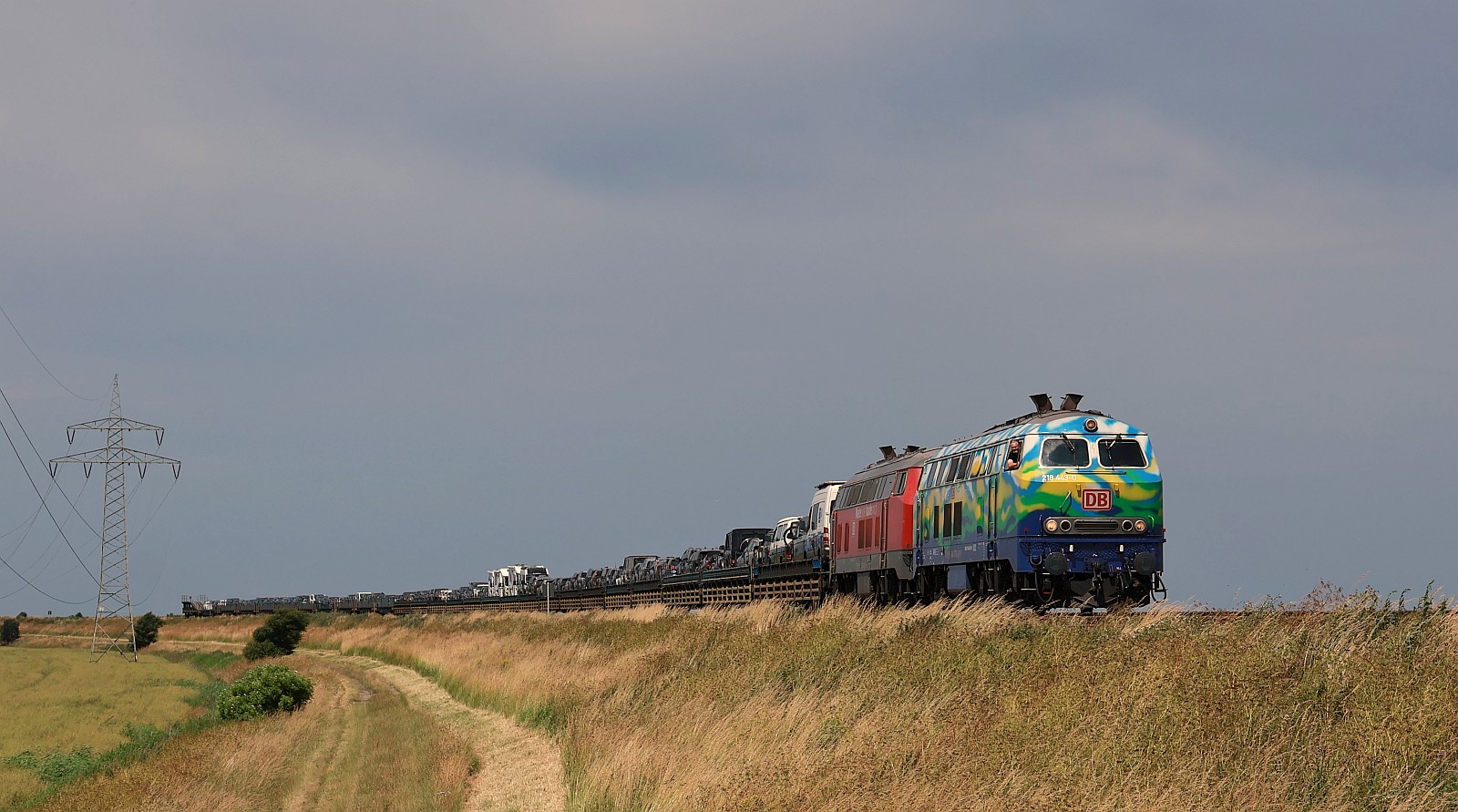DB 218 443 + 425 mit freundlichem Gru�und vollem AZS nach Westerland aufgenommen am Wiedingharder Neuer Koog. 28.06.2026