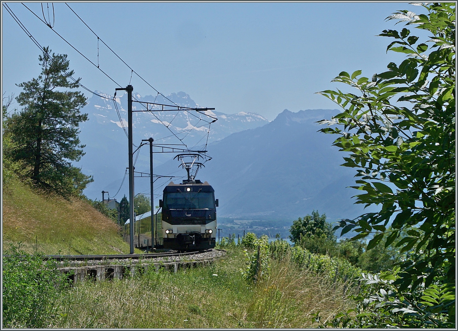 Die MOB Ge 4/4 8002 ist mit ihrem vierteiligen GPX 4078 von Montreux nach Zweisimmen unterwegs und fährt durch die Weinberge bei Planchamps.

24. Juni 2023