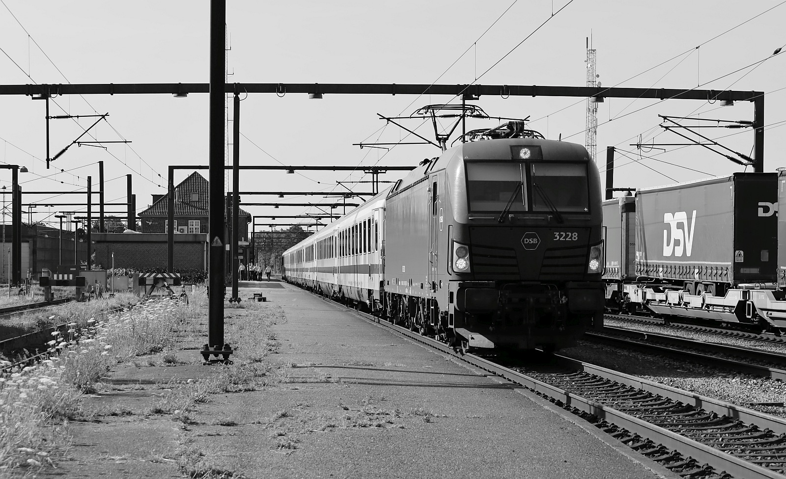 DSB Litra EB 3228 mit IC nach Kopenhagen Ausfahrt Pattburg.st 09.07.2023 s/w Version
