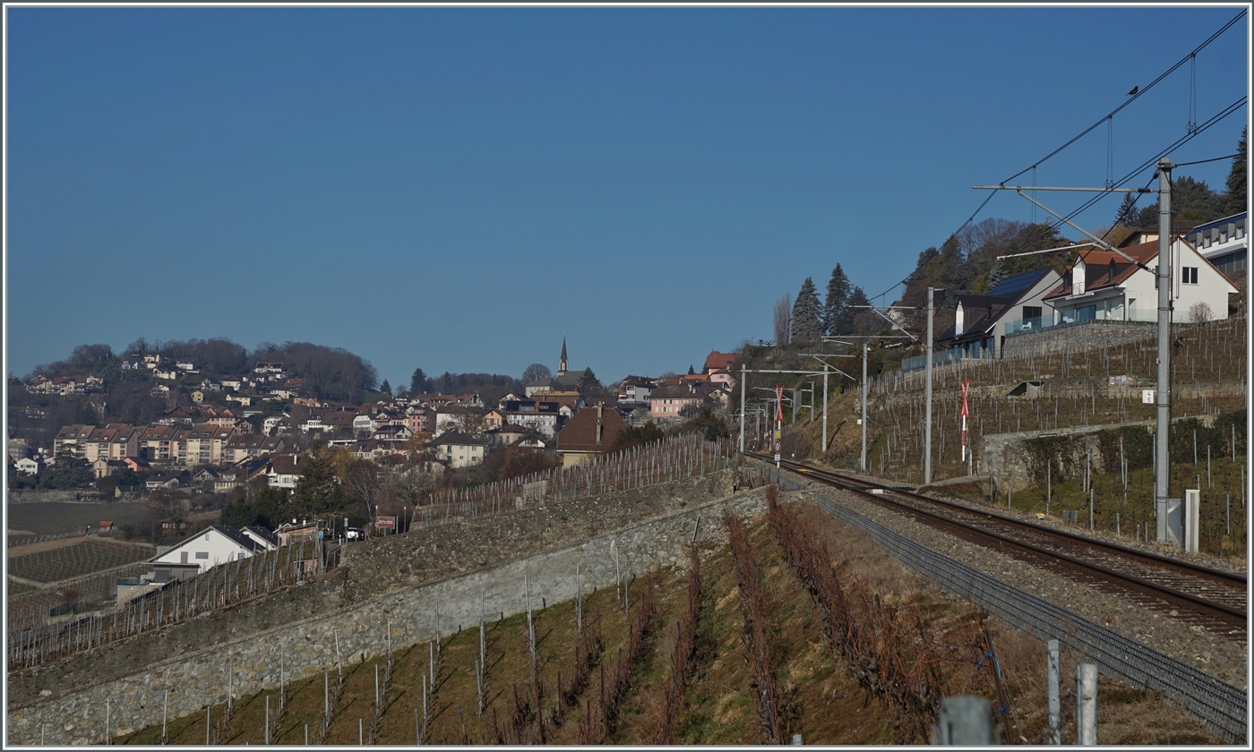 Ein nicht ganz einfaches Zugsuchbild: Der SBB Flirt3 RABe 523 503  Mouette  (RABe 94 85 0 523 503-6 CH-SBB) wartet in Chexbres auf die Abfahrt nach Vevey. 

15. Februar 2023