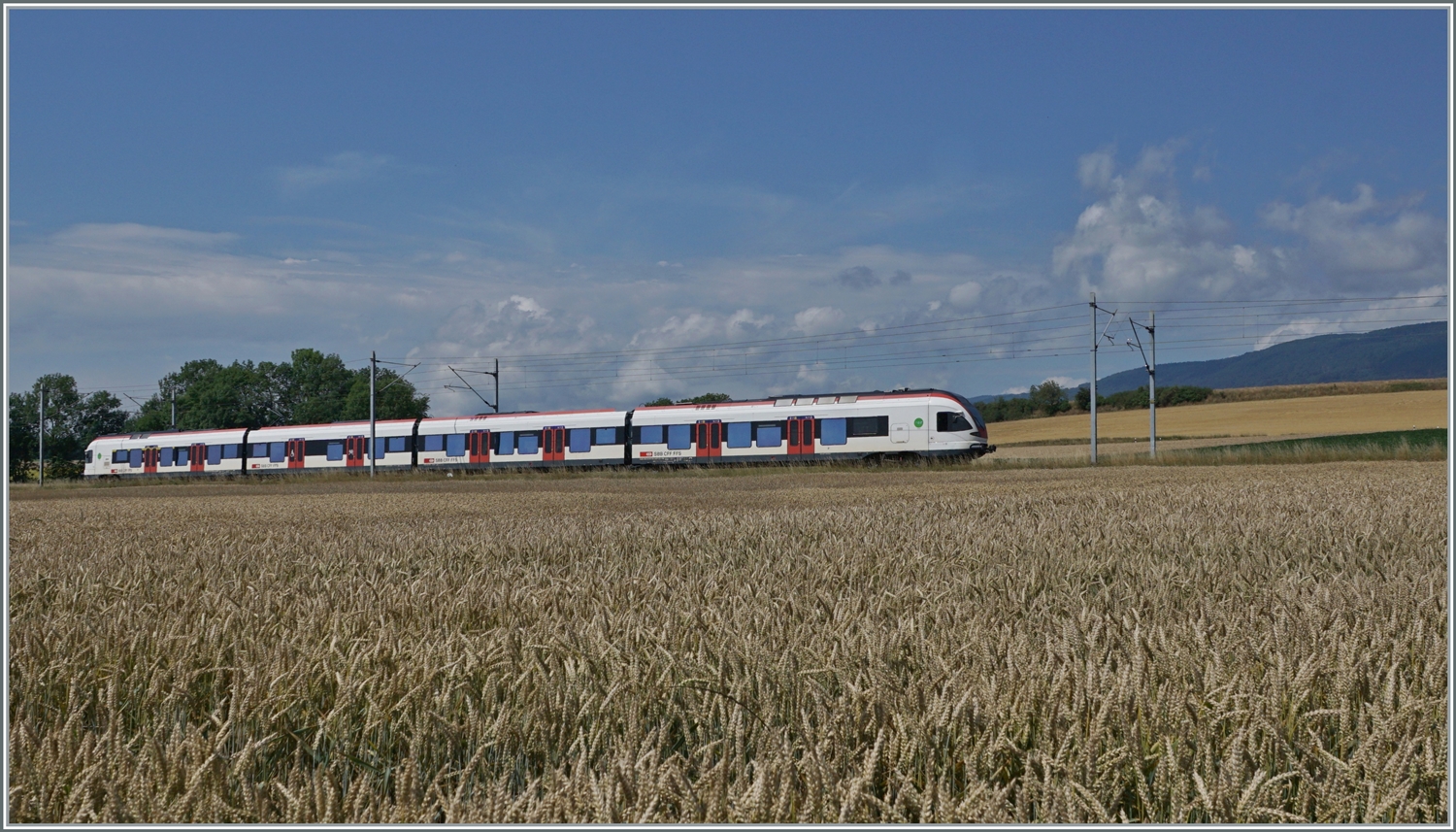 Ein SB RABe 523 ist bei Arnex auf der Fahrt nach Vallorbe. 

4. Juli 2022