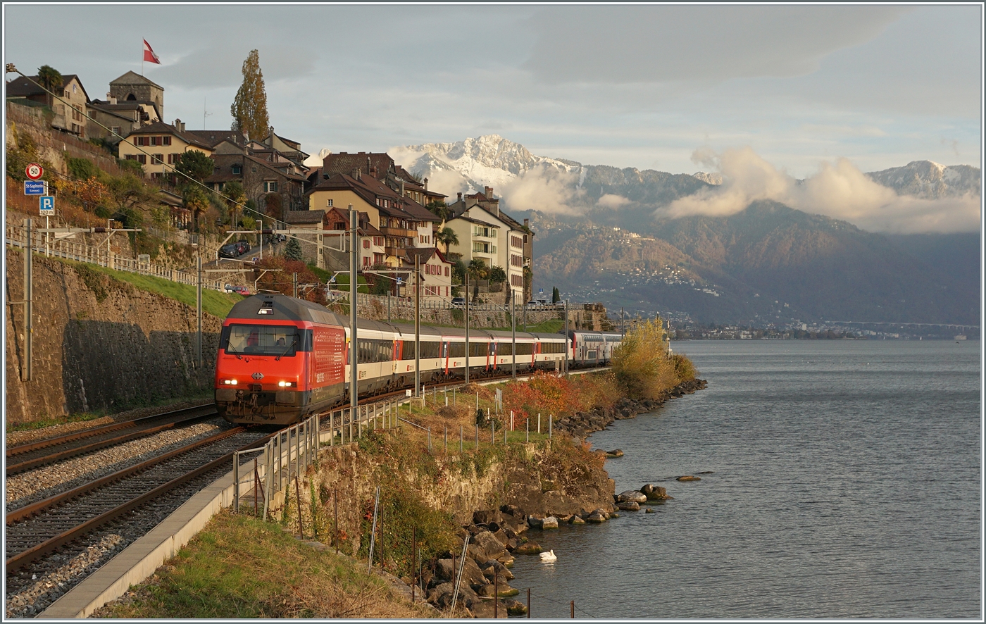 Eine SBB Re 460 ist bei St-Saphorin mit ihrem IR 90 auf dem Weg in Richtung Lausanne, rechts im Bild gleitet der Blick weit über den See bis zum Château de Chillon. 

12. Nov. 2024