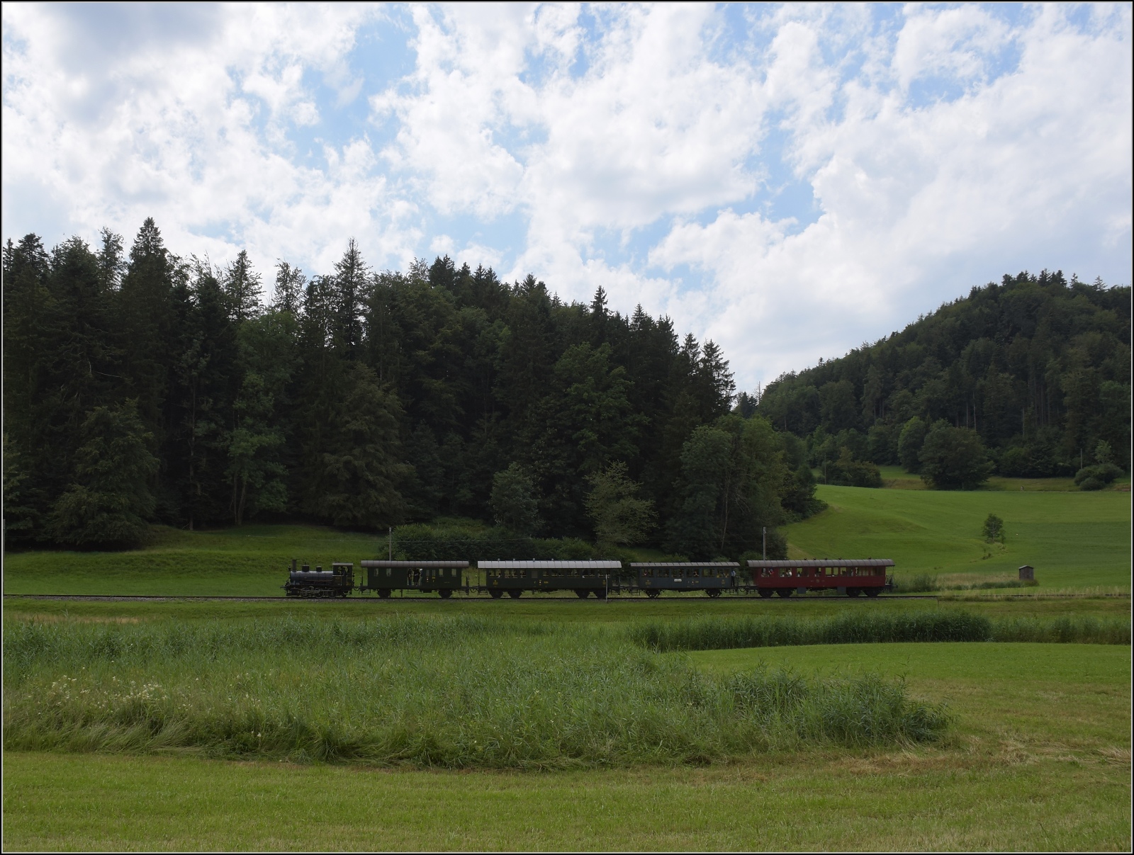Fahrtag im Zürcher Oberland.

Ed 3/3 401 der UeBB in Bussenthal. Juli 2023.