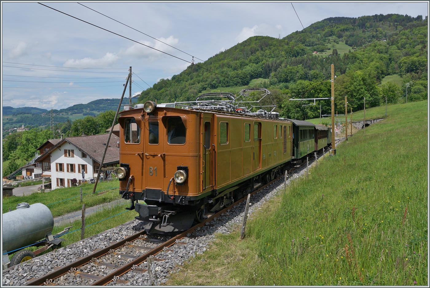 Festival Suisse de la vapeur 2024 / Schweizer Dampffestival 2024 der Blonay-Chamby Bahn. Wenige Züge wurden auch mit elektrischer Traktion befördert und dafür kamen überwiegend der FZe 6/6 2002 und die Ge 4/4 81 zum Einsatz. Das hier gezeigte Bild zeigt die Bernina Bahn Ge 4/4 81 der Blonay Chamby Bahn auf der Fahrt von Blonay nach Chamby kurz vor Cornaux. Beachtenswert, auch wenn nur als Detail am Rande, sind die neuen Holzfahrleitungsmasten auf dem Streckenabschnitt Cornaux - Tunnle Baye de Clarens und die neue Gleise auf diesem Abschnitt. 

20. Mai 2024 