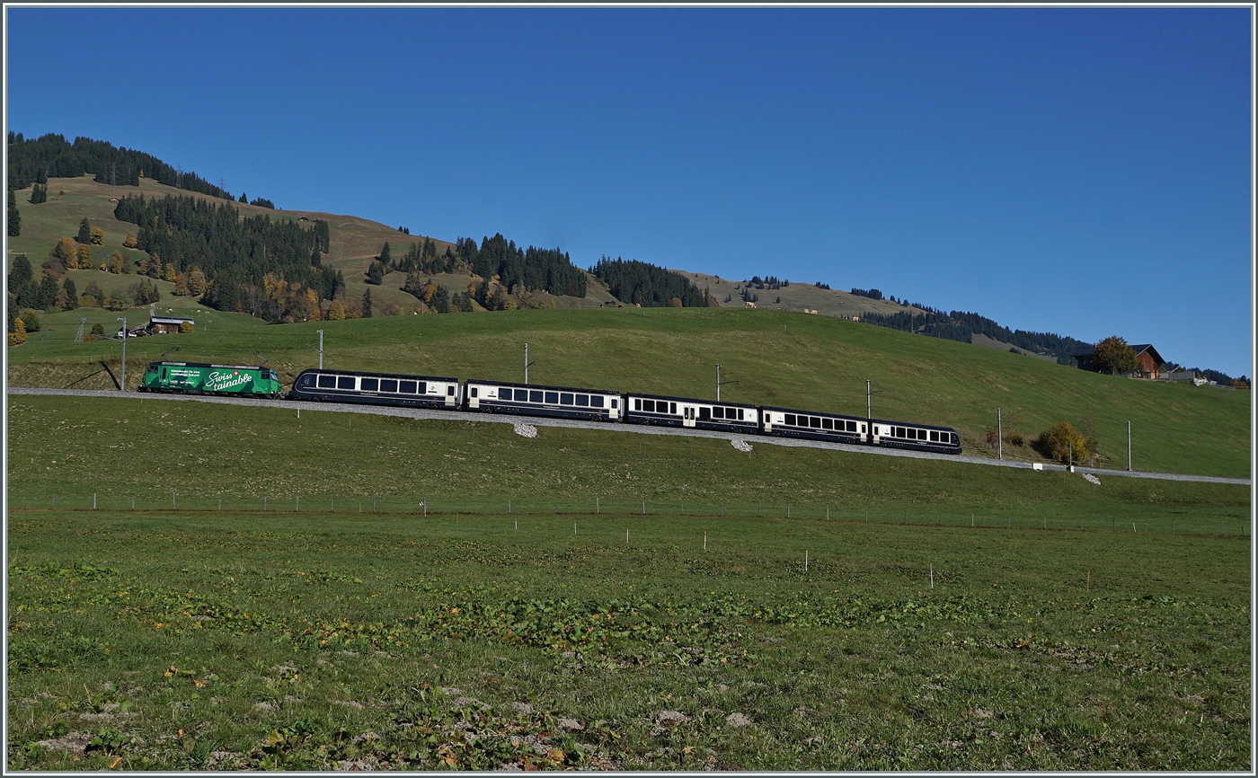 In weiten Kurven gewinnt das Trasse der MOB zwischen Gstaad und Schönried die nötige Höhe. Im Bild der GoldenPass Express (GPX) PE 4068 von Montreux nach Interlaken Ost mit der Ge 4/4 8004  Swisstainable  an der Spitze, die in Zweisimmen durch eine BLS Re 465 abgelöst werden wird. Das Besondere an diesem Bild: Im Gegensatz zum vorhergehende zeigt dieses Bild nicht die schattige Front der Ge 4/4 8004, sondern die Sonnenbeschiene Rückfront der Lok. 13. Okt. 2025 