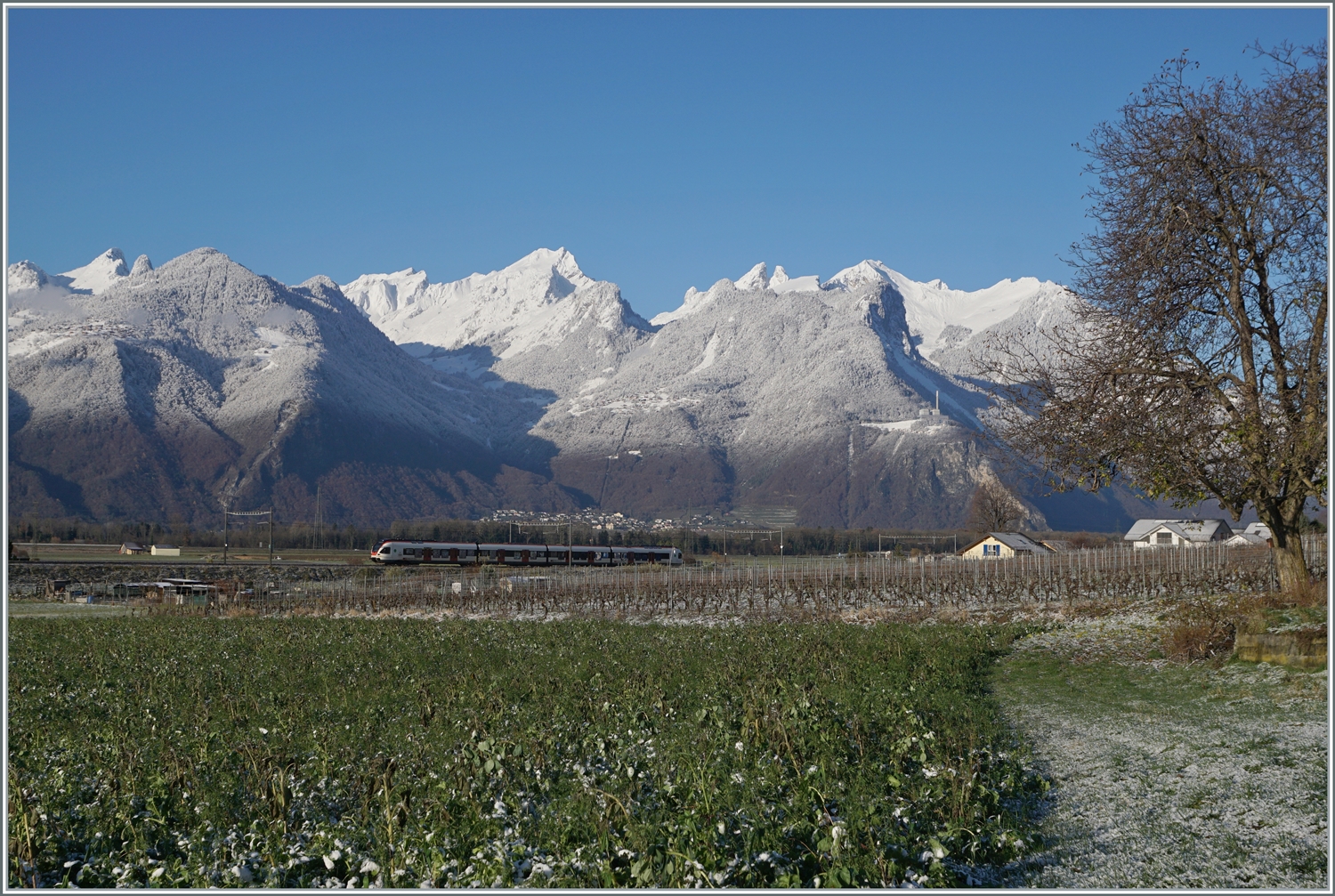 Kurz vor Aigle ist ein SBB RABe 523 auf dem Weg von Le Brassus nach Aigle und zeigt sich vor den verschneiten Walliser Alpen im Chablais.

3. Dez. 2023  