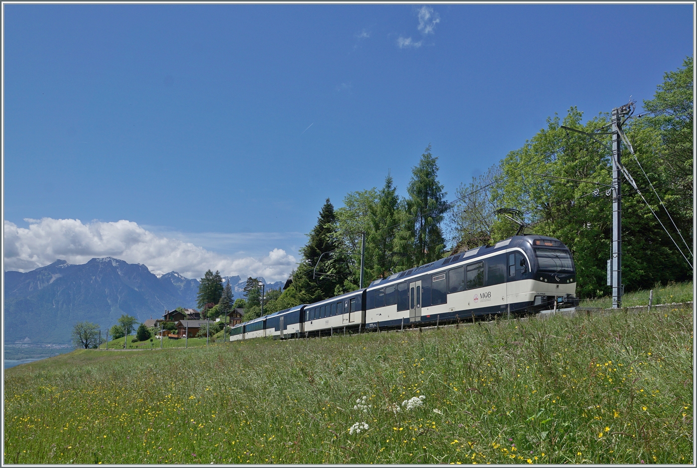 Mit dem Aussichtsteuerwagen Ast 116 an der Spitze und einem  Alpina  Be 4/4 Serie 9000 am Zugschluss ist ein MOB Regionalzug von Zweisimmen nach Montreux bei Les Avants unterwegs. 

28. Mai 2024