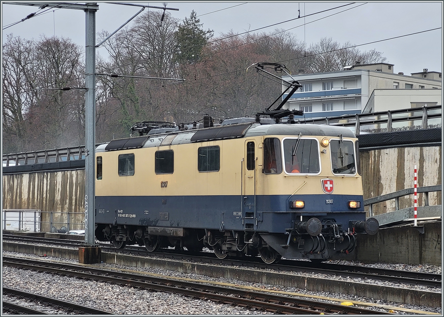 Nachdem die IRSI/IGE  Rheingold  Re 4/4 II 11387 (Re 421 387-2) ihren Güterzug den beinden Ge 4/4 21 und 22 übergeben hat, stehet sie zum fotografieren ein paar Zentimeter zu ungeschickt am Fahrleitungsmasten (und blieb dort auch eine Weile stehen.) 
Da die BAM /MBC eigene Re 4/4 II 506 (Re 420 506) zur Zeit in der Revision in Bellinzona weilt, hat die BAM MBC die IRSI/IGE  Rheingold  Re 4/4 II 11387 (Re 421 387-2) angemietet. Die Lok trägt die UIC Nummer Re 421 91 885 4421 387-2 CH-IRSI.

22. Februar 2024
