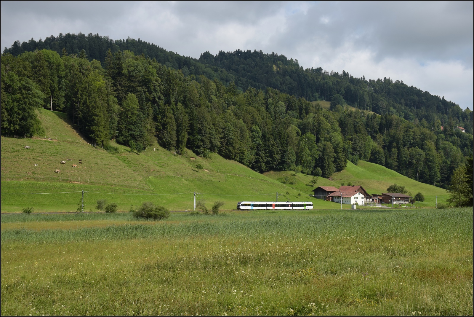 Turbo-GTW RABe 526 auf der Tösstalbahn zwischen Fischenthal und Gibswil. Juli 2023.