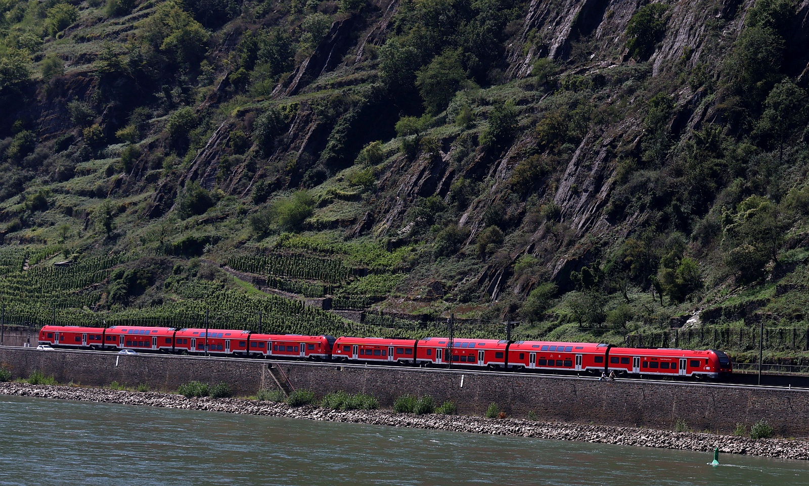 berraschend kamen 2 nagelneue BR 4462 Desiro HC der DB aus Richtung Koblenz vorbeigefahren. Kestert 11.08.2025