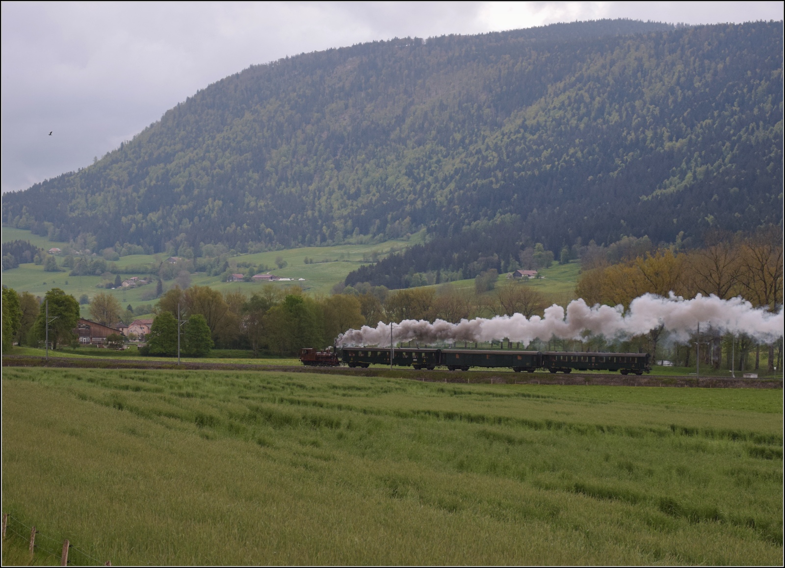 Vapeur Val-de-Travers: Train du Terroir.

E 3/3 8511 mit ihrem Zug in der Steigung von La Presta nach Travers. Der Bergrcken im Hintergrund ist eigentlich der 1464 m hohe Soliat, dessen hchster Punkt sich ein wenig auf der Hochebene versteckt. Mai 2023.