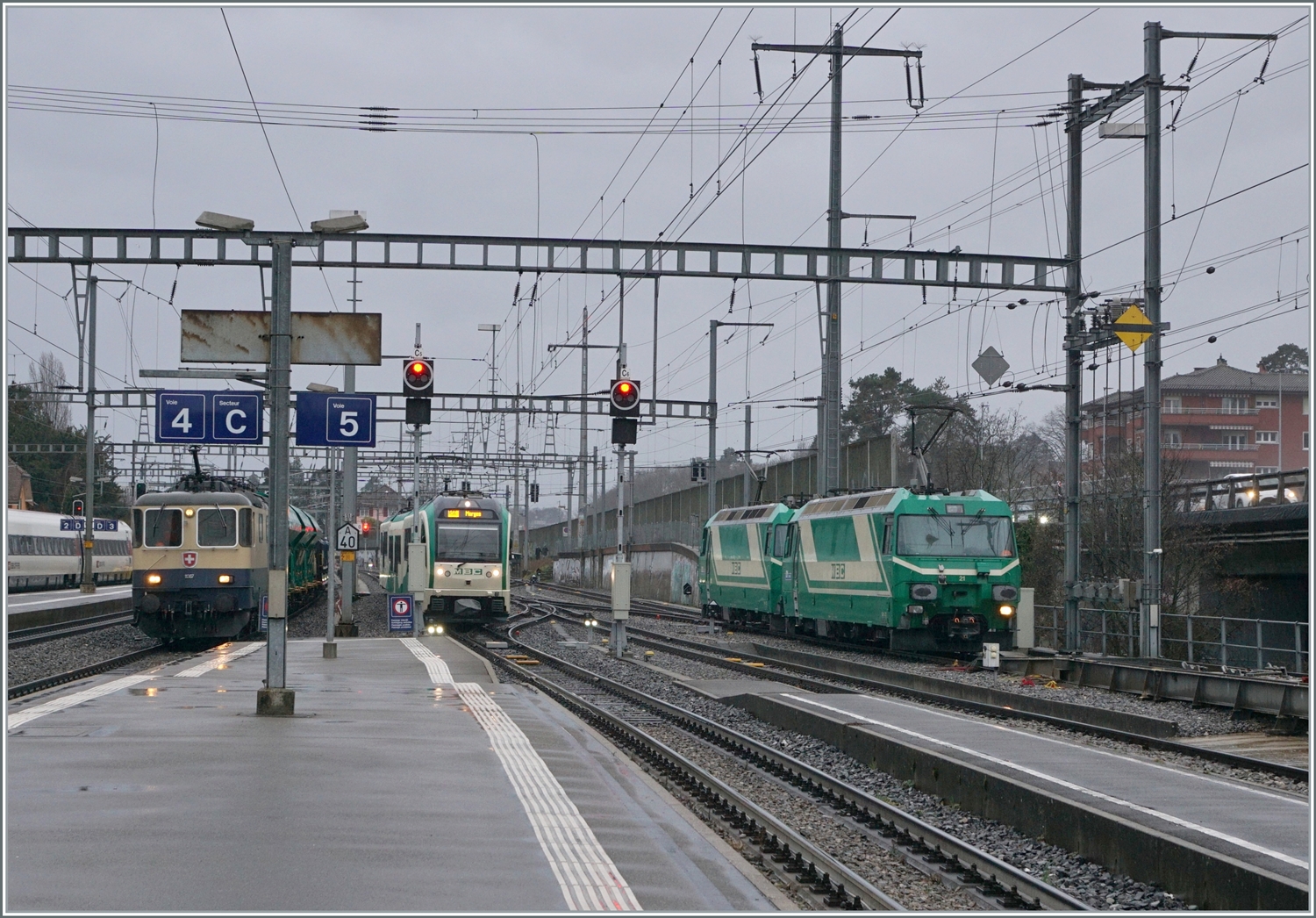 Viel Verkehr auf der BAM! Rechts die beiden schon erwähnten Ge 4/4 21 und 22, in der Mitte ein einfahrender BAM Regio R 56 von Bière und links im Bild erreicht die gemietet IRSI/IGE  Rheingold  Re 4/4 II 11387 (Re 421 387-2) nun mit ihrem Güterzug von Gland kommend Morges.
 
22. Februar 2024