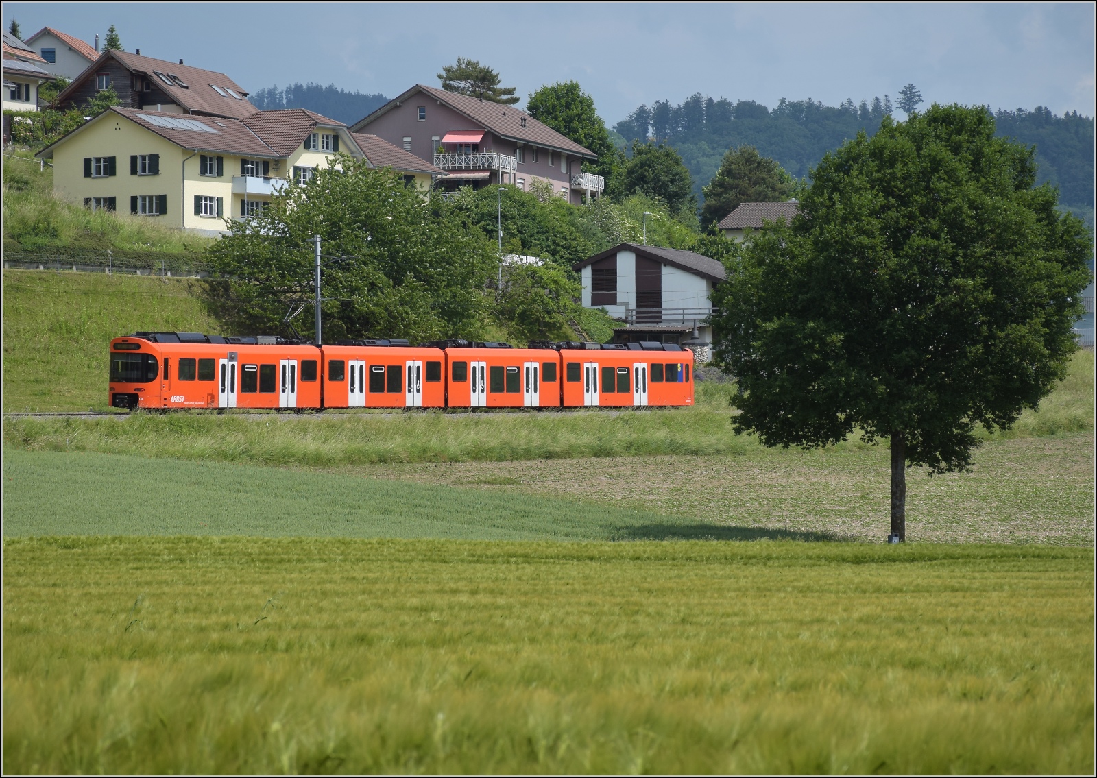 Worbla Be 4/10 04 in Sinneringen. Juni 2023.