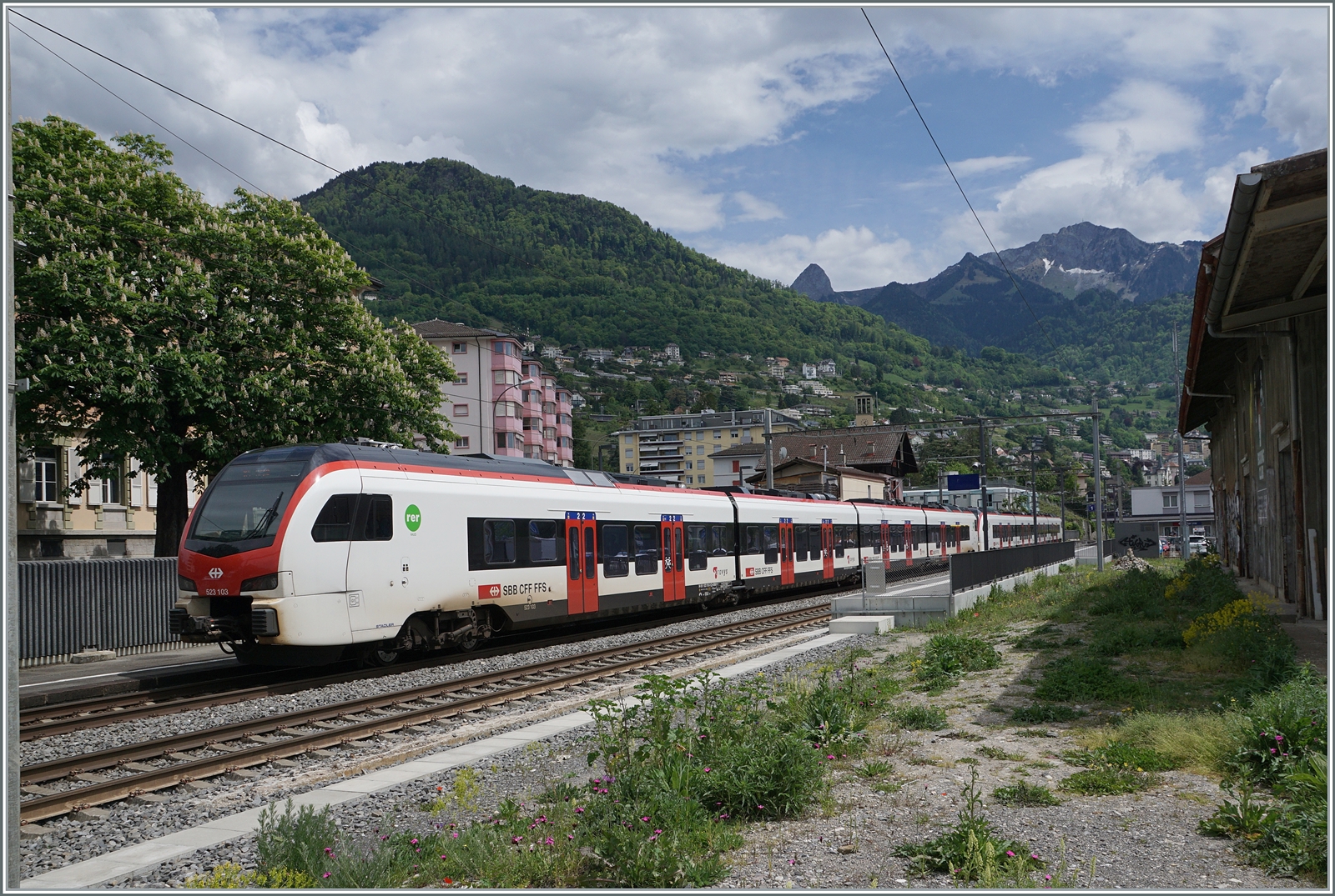 Zwei SBB Flirt * RABe 523.1 mit dem RABe 523 103 am Zugschluss sind als R auf dem Weg von  Le Brassus/Vallorbe nach Aigle und erreichen Clarens. Im Hintergrund sind der Dent de Jaman und die Roches de Naye zu sehen. 

14. Mai 2024