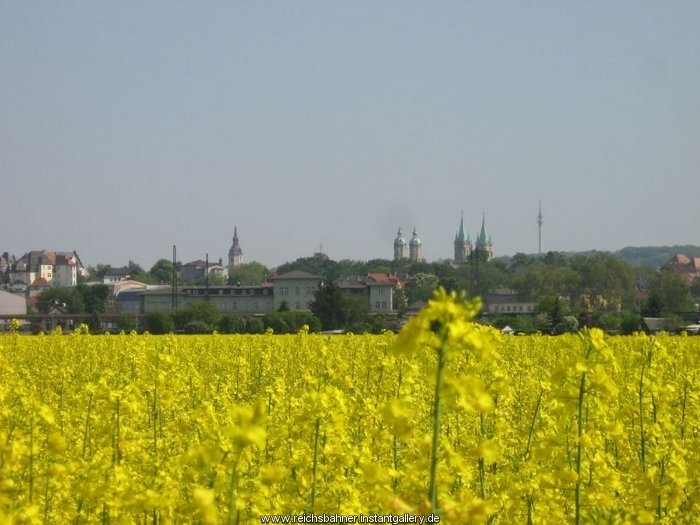 Blick auf den Naumburger Hbf; 02.05.2009 (Foto: Thomas Menzel)