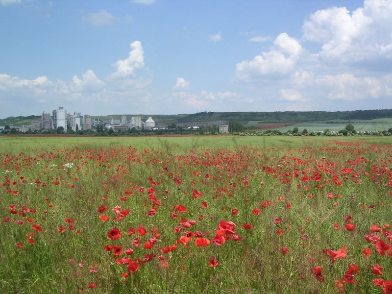 Blick auf das Zementwerk Karsdorf im Juni 2008