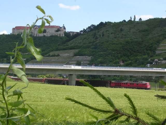 DB 232 556-3 mit einem Zementzug (S�cke in Ganzwagen) aus Karsdorf bei der Ausfahrt in Freyburg (Unstrut); 08.06.2006 (Foto: Thomas Menzel)