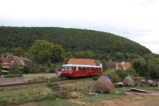 Die Ferkeltaxen w�hrend der Sonderfahrt zu unserem 3. Unstrutbahnfest in Ro�leben beim passieren des �rtchens Wangen; 07.09.2008 (Foto: Tino W�ldchen)