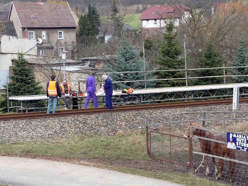 Die Pause haben sie sich verdient....! Auch das Pferd staunt, dass sich endlich was tut in Wangen; 14.03.2009 (Foto: Ralf Kuke)
