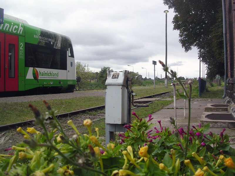 EB VT 009 als Winzerfestsonderzug Erfurt - Nebra, am 08.09.2007 beim Halt in Gehofen. Was man im Bild allerdings nicht sieht: hier wurde schon viel vandaliert.